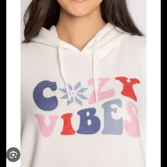 Pj salvage Cozy Vibes set lounge pajamas hoodie and faire isle joggers gift